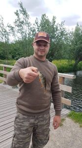 European Perch