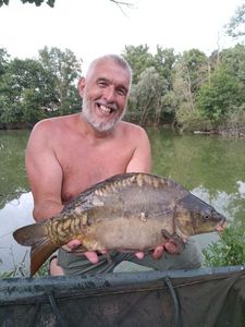 Mirror Carp