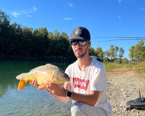 Mirror Carp