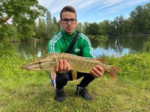 Northern Pike