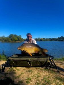 Mirror Carp