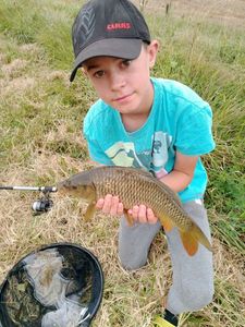 Common Carp