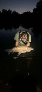 Grass Carp