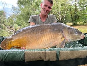 Mirror Carp