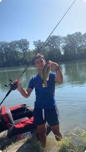 Largemouth Bass