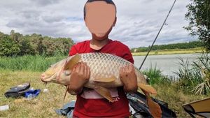 Common Carp