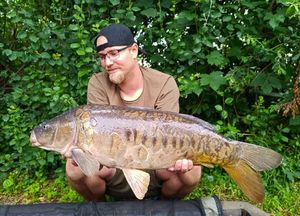 Mirror Carp