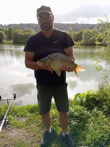 Mirror Carp