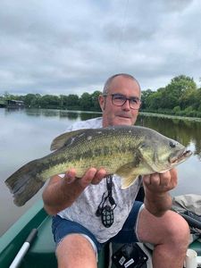 Largemouth Bass