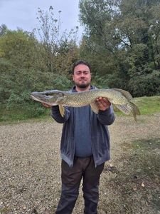 Northern Pike