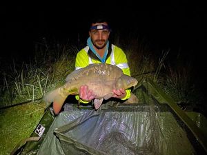 Mirror Carp
