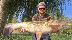 Grass Carp