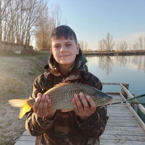 Common Carp