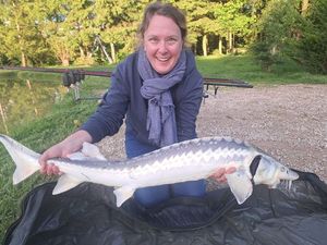 Sturgeon