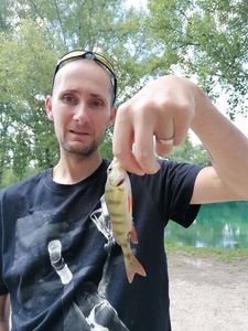 European Perch