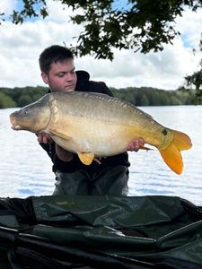 Mirror Carp