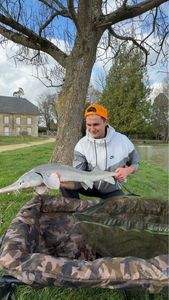 Sturgeon