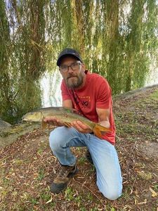 Barbel