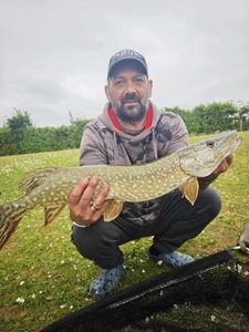 Northern Pike