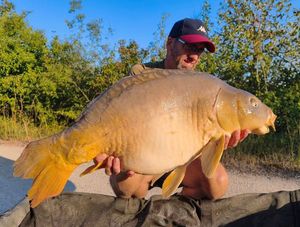 Mirror Carp