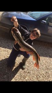 Northern Pike