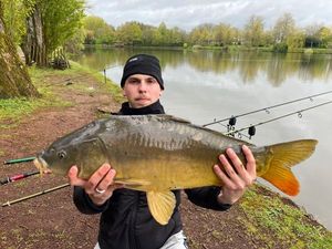 Mirror Carp