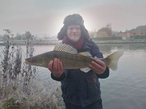 Zander