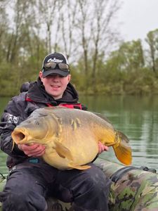 Mirror Carp