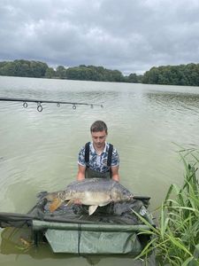 Mirror Carp