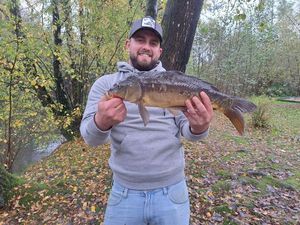 Mirror Carp
