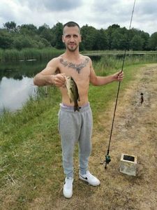 Largemouth Bass