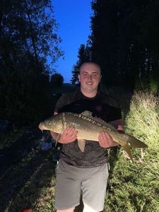 Mirror Carp
