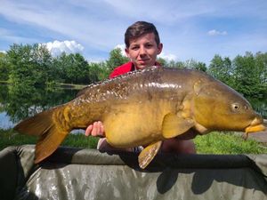 Mirror Carp