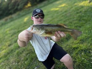 Largemouth Bass