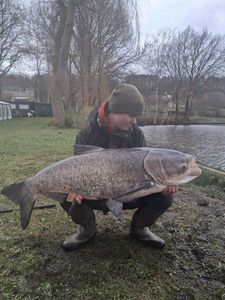 Silver Carp