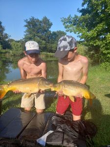 Mirror Carp