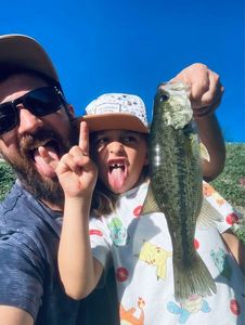 Largemouth Bass