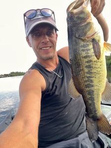 Largemouth Bass