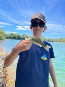Largemouth Bass