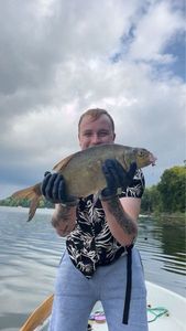 Common Bream