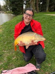 Mirror Carp