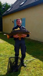 Mirror Carp