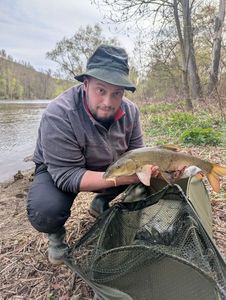 Barbel