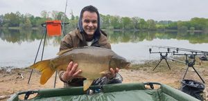 Mirror Carp