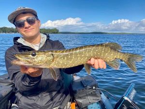 Northern Pike