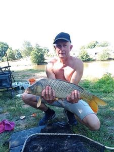 Common Carp