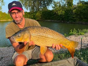 Common Carp