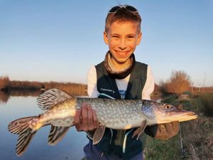 Northern Pike