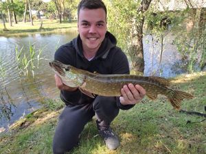 Northern Pike