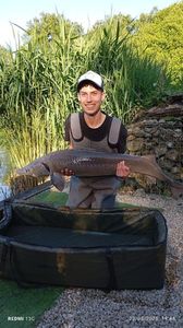 Sturgeon